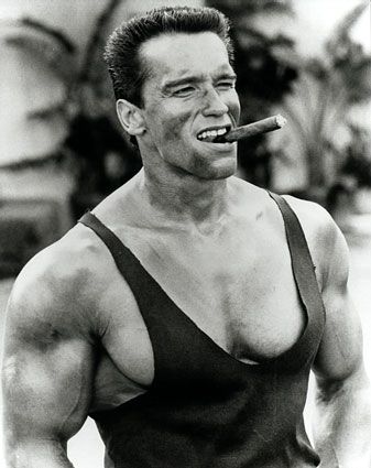 Uvodní obrázek Arnie